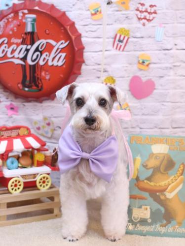 20230930ボルトくん